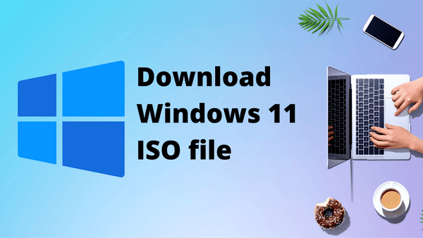Download Windows 11 Pro