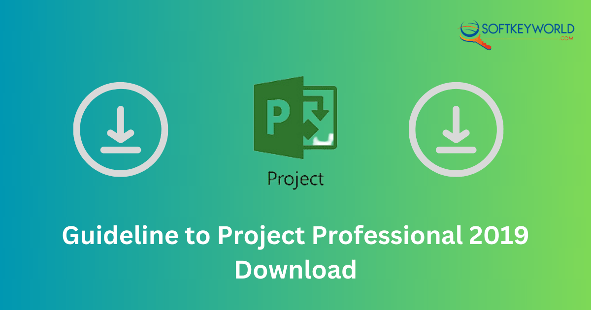 Project 2019 Pro Download -softkeyworld