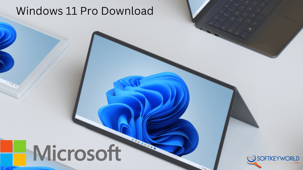 Windows 11 Pro Download
