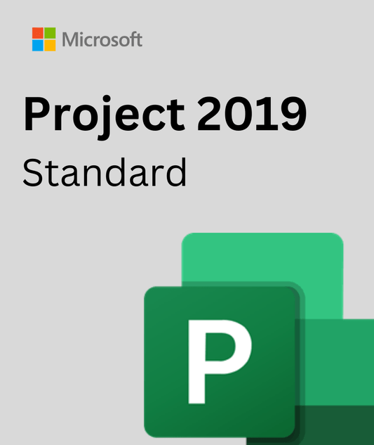 Project 2019 standard