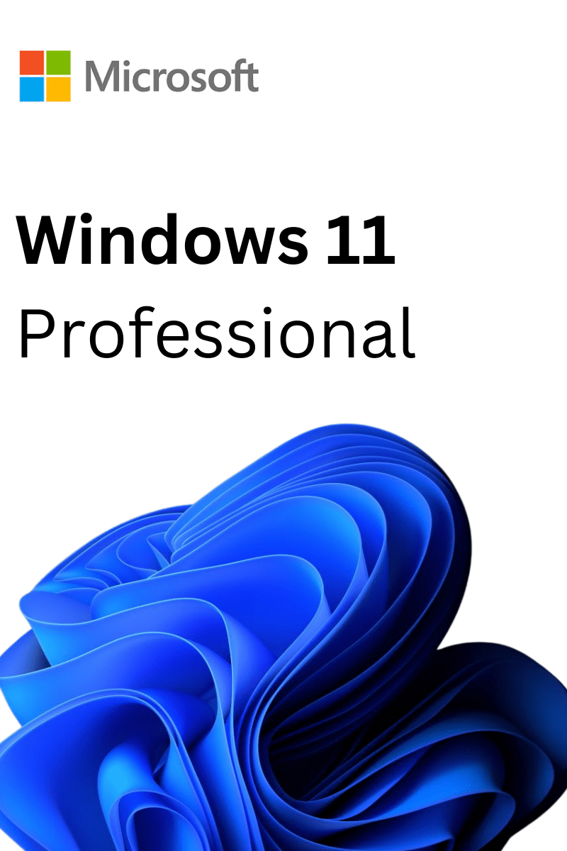 windows 11 professional