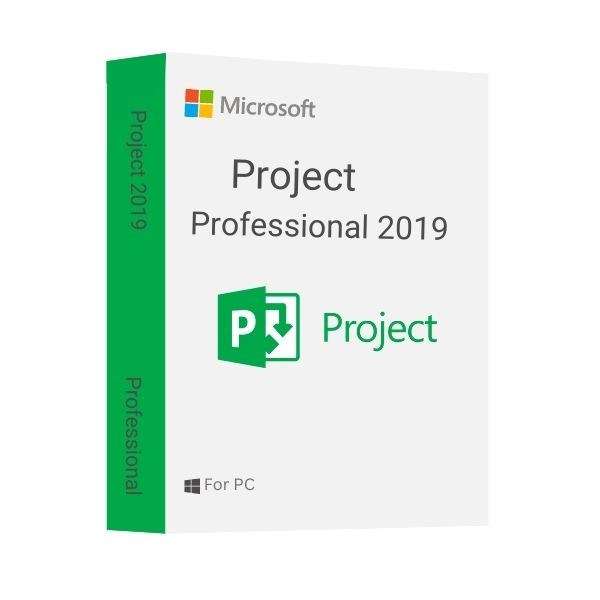 Microsoft Project 2019 Professional 2