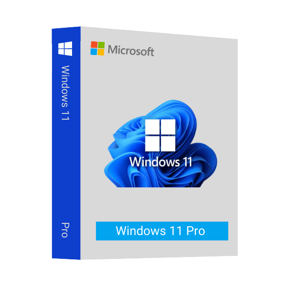 Windows 11 Pro download