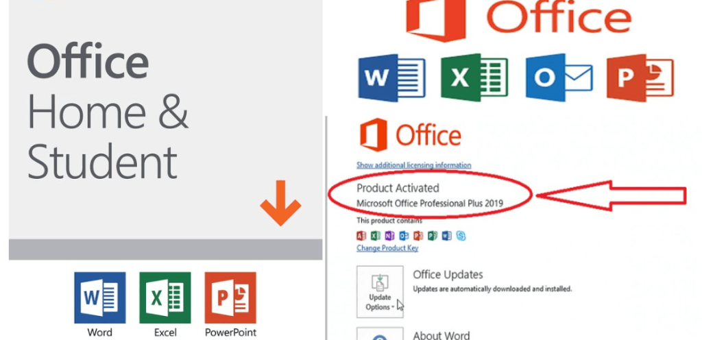 office 2019 pro plus activated