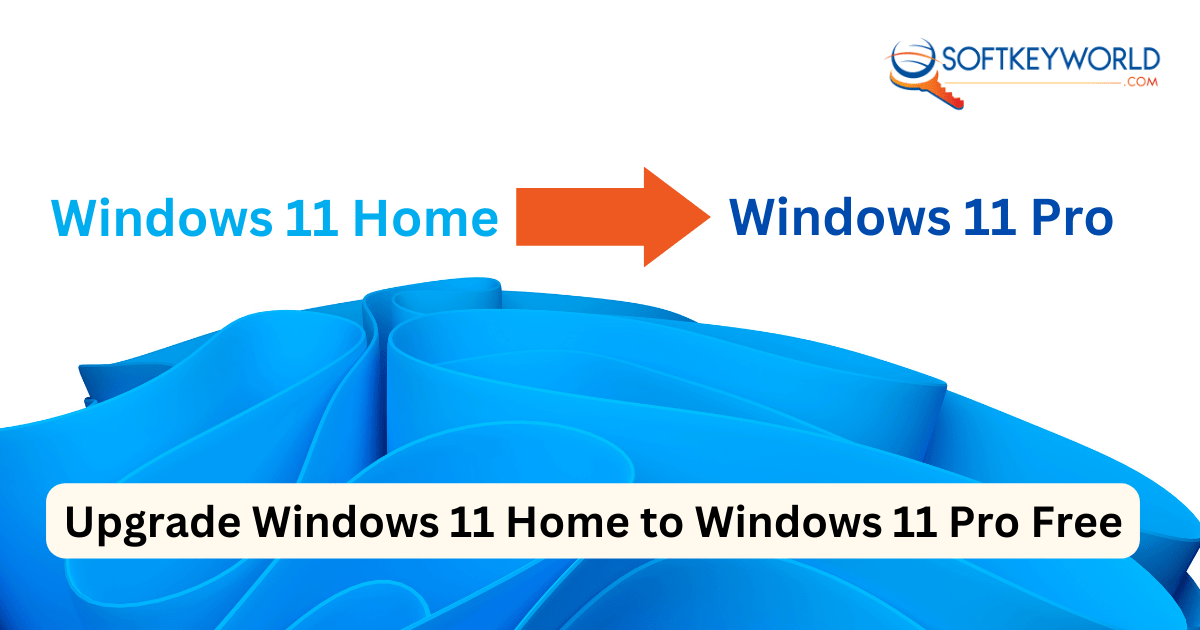 Windows 11 home, windows 11 pro