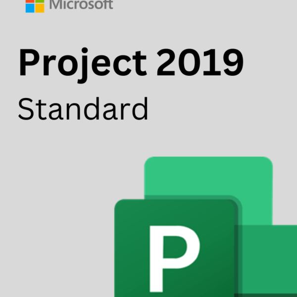 Project 2019 standard