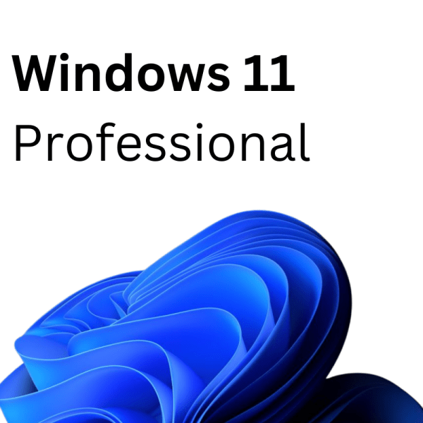 Windows 11 professional