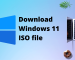 Download Windows 11 Pro